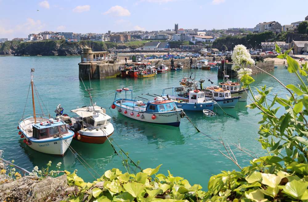 Newquay Food Festival 2025 Brings Tasty Fun to the Coast