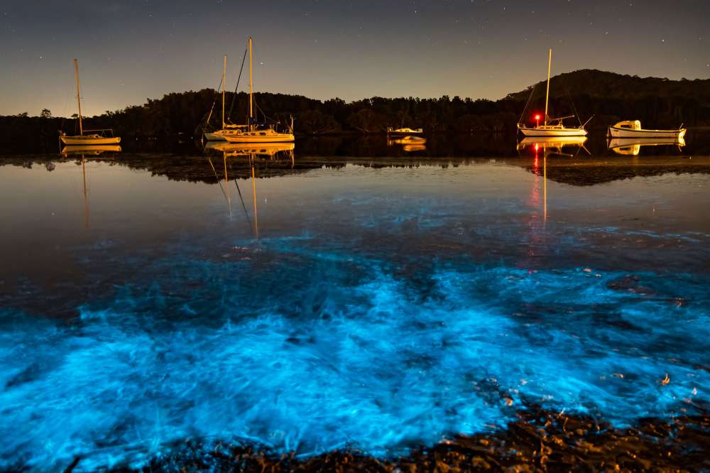Glowing Plankton Light Up Cornwall Coast